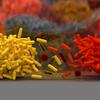 Red and yellow bacteria shown as armed