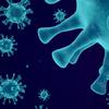 Flu 