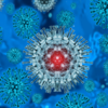 Flu virus graphic