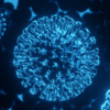 virus