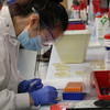Student in microbiology lab